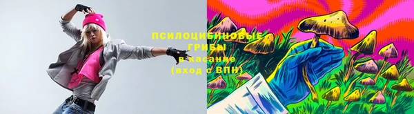 apvp Покачи