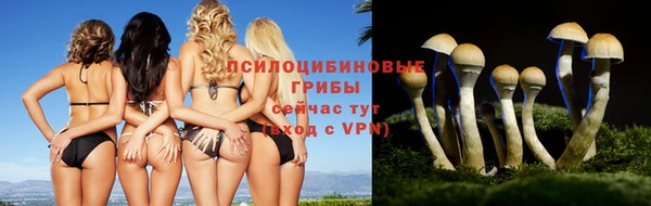 apvp Покачи