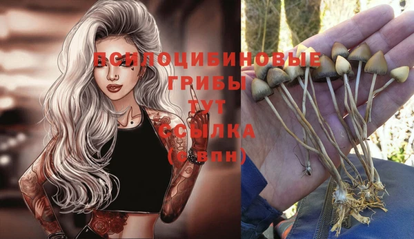 MDMA Premium VHQ Покровск