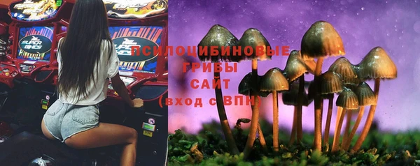 ALPHA PVP Покров