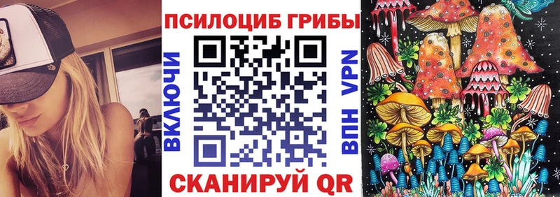 OMG ONION  Томилино  Галлюциногенные грибы прущие грибы  где можно купить  
